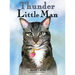 Thunder: Little Man