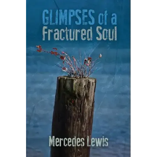 Glimpses of a Fractured Soul