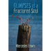 Glimpses of a Fractured Soul