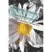 Fast Track To Life Coaching: A Certification & Training Workbook