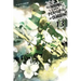 Is It Wrong to Try to Pick Up Girls in a Dungeon?, Vol. 13 (Light Novel): Volume 13
