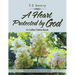 A Heart Protected by God: A Coffee Table Book