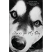 Stories for My Dog