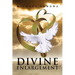 Divine Enlargement