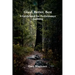 Good, Better, Best: A Guidebook for Performance Auditing