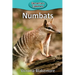 Numbats