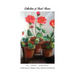 Collection of Short Stories