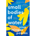Small Bodies of Water