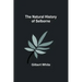 The Natural History of Selborne