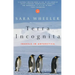 Terra Incognita: Travels in Antarctica