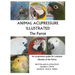 Animal Acupressure Illustrated The Parrot