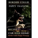 Border Collie Puppy Training Begins. . . From the Car Ride Home: Border Collie Puppy Training