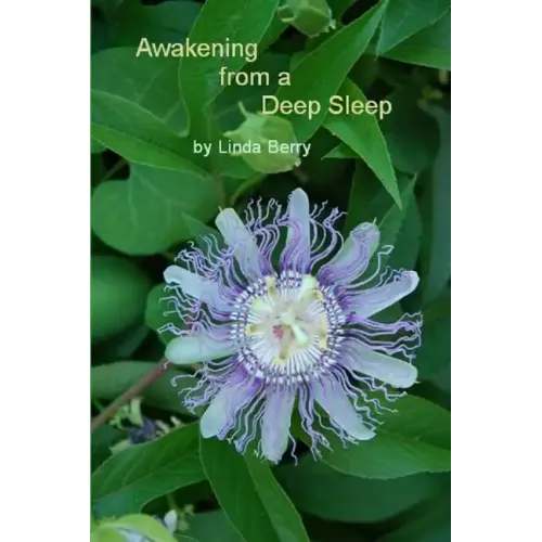 Awakening From A Deep Sleep
