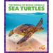 Sea Turtles