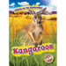 Kangaroos