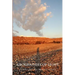 Geographies of Light