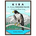 Kira, an Alaskan Peregrine Falcon: A Coloring Book