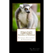 Malagasy-English English-Malagasy Dictionary & Phrasebook