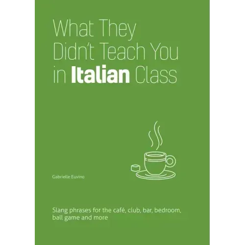 What They Didn't Teach You in Italian Class: Slang Phrases for the Cafe, Club, Bar, Bedroom, Ball Game and More