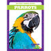 Parrots