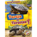 Turtle or Tortoise?