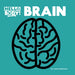 Brain