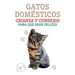 Gatos Domésticos Crianza y Consejos Para que Sean Felices
