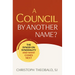 Council by Another Name?: The Synod on Synodality and What Comes Next