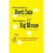 If You've Got to Herd Cats, You'll Need a Big Mouse: A congregational guide to a compelling vision