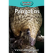 Pangolins