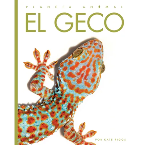 El Geco