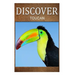 Toucan - Discover: Early reader's wildlife photography book