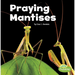 Praying Mantises