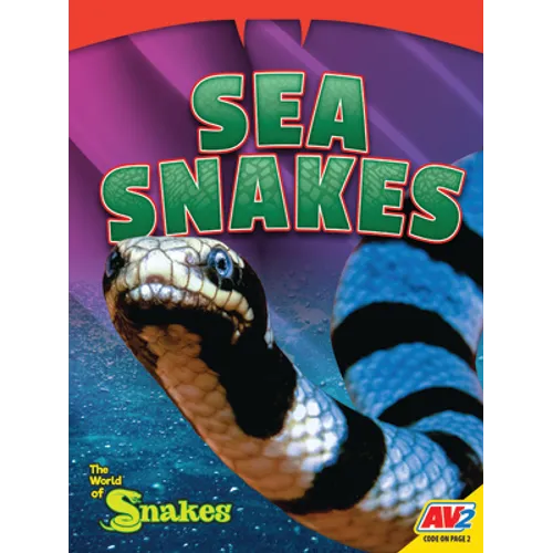 Sea Snakes