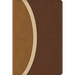 CSB Rainbow Study Bible, Brown Leathertouch (Limited Edition)