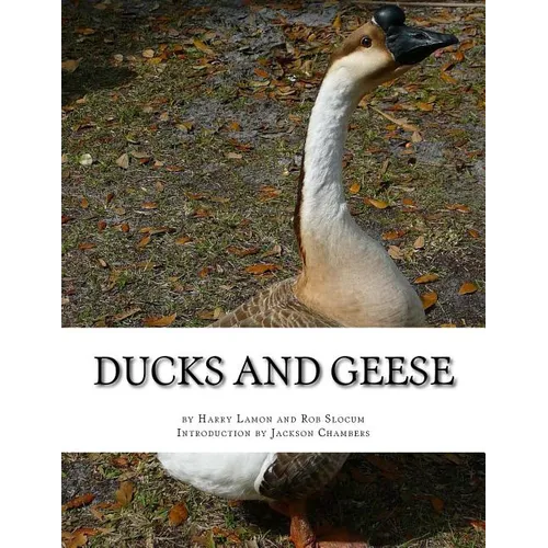 Ducks and Geese