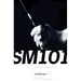 SM 101: A Realistic Introduction