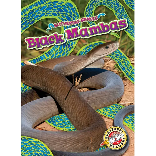 Black Mambas