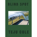 Blind Spot