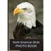 North American Birds Photo Book: 40 Different Bird Photos With Identification Names For Alzheimer & Dementia Patients To Help With Memories and Memory