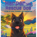 Harper the Rescue Dog: A Tale of Love, Freedom, and Boundaries