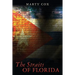 The Straits of Florida