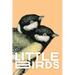 Little Birds