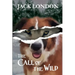 The Call of the Wild