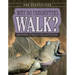 Why Do Mudskippers Walk?: And Other Curious Fish Adaptations