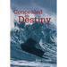 Concealed in Destiny