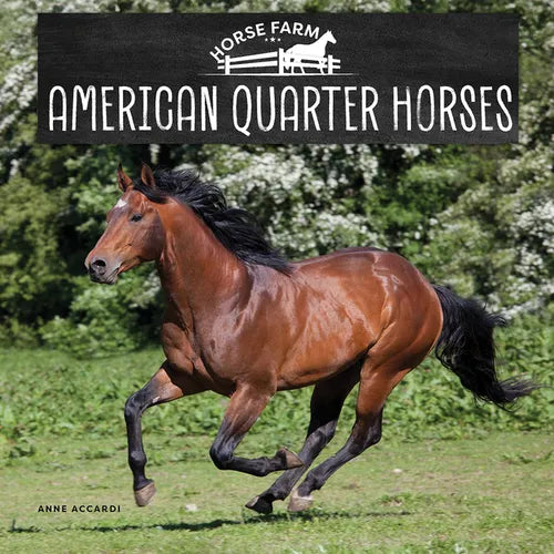 American Quarter Horses