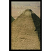 The Pyramids of Egypt