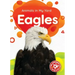 Eagles