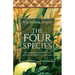 The Four Species: The Symbolism of the Lulav & Esrog and Intentions for the Lulav Movements